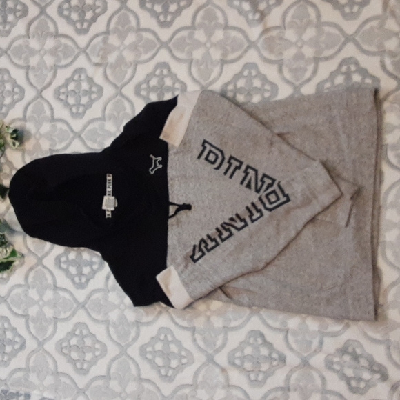 Victoria's Secret PINK pullover hoodie - Picture 3 of 9